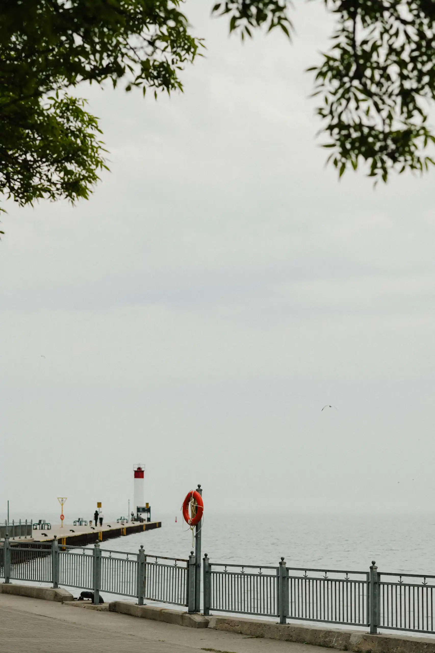 The Whitby Harbour pier and lighthouse