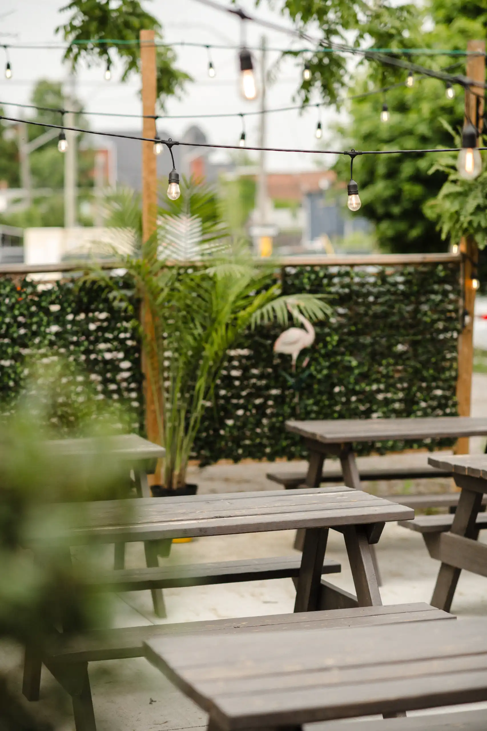 String lights over a patio of picnic tables