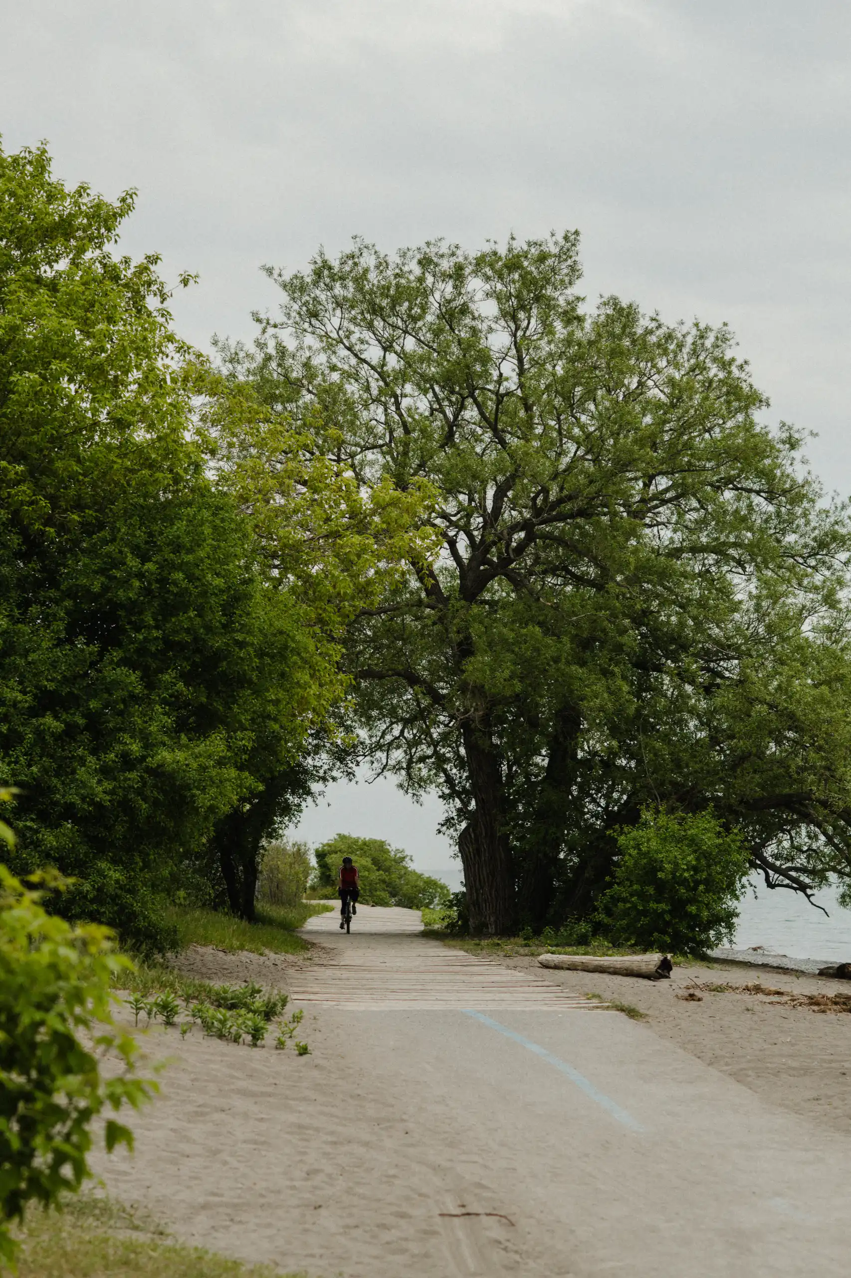 A quiet stretch of waterfront trail on Lake Ontario